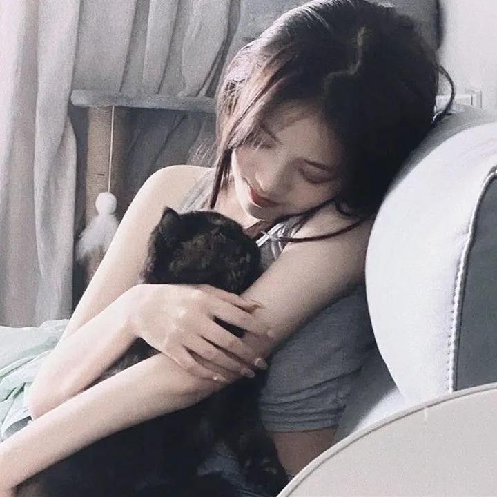惊笑好莱坞